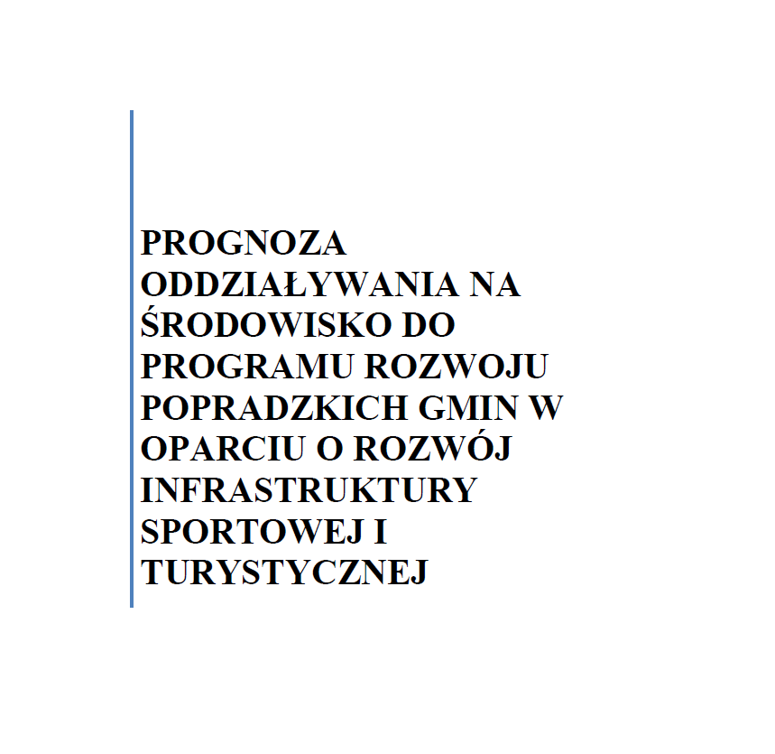 Raport